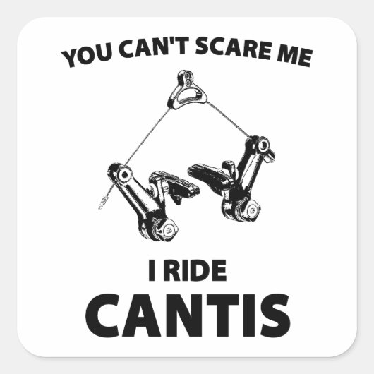 僕がカンティスに乗るなんて怖がらないよ スクエアシール (正面)