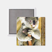 僕が_保護す マグネット (正面/裏面)