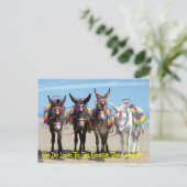 僕たちは海辺のロバ乗り物のそばにいるのが大好きだ ポストカード (スタンド正面)