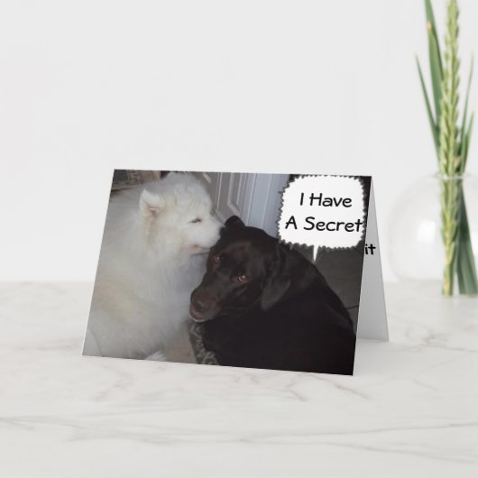 僕の秘密は君が好きだ カード (正面)