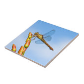 僕の背後のマイル タイル (側面)