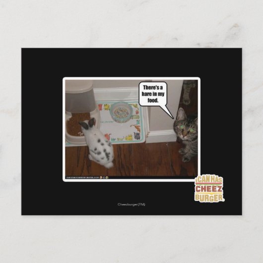 僕の食物に野うさぎがある。 ポストカード (正面)