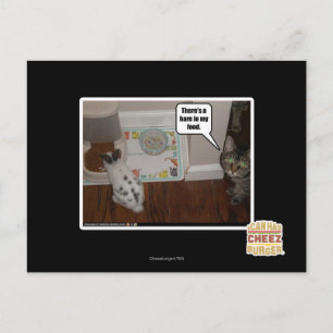 僕の食物に野うさぎがある。 ポストカード