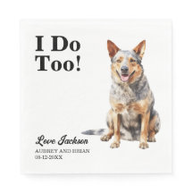 僕はオーストラリア産の牛犬結婚だ