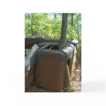 僕は君に夢中だ