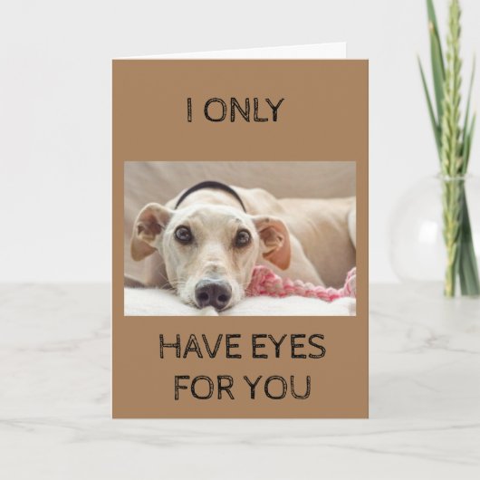 僕は君に目を付けるだけだ カード (正面)