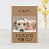 僕は君に目を付けるだけだ カード (黄色い花)