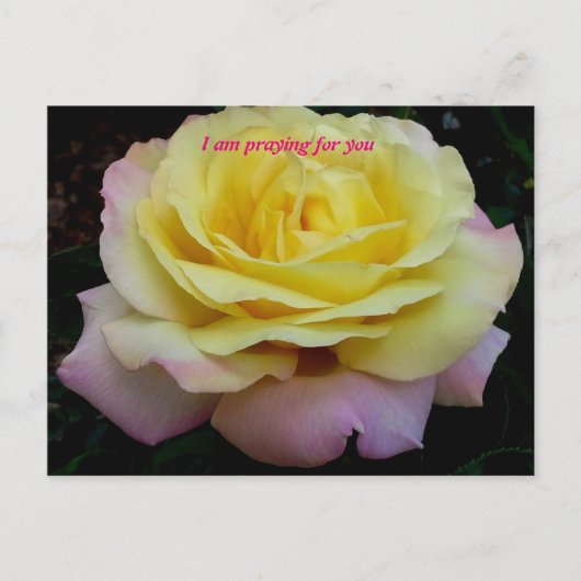 僕は君祈の味方だ ポストカード (正面)