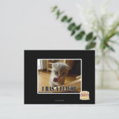 僕は味がある ポストカード (スタンド正面)