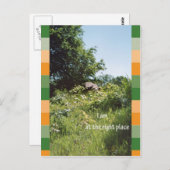 僕は好い所に居る ポストカード (正面/裏面)