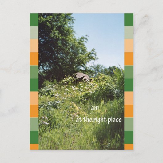 僕は好い所に居る ポストカード (正面)