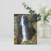 僕は独りで世の中へ出て行けない ポストカード (スタンド正面)