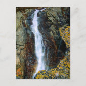 僕は独りで世の中へ出て行けない ポストカード (正面)