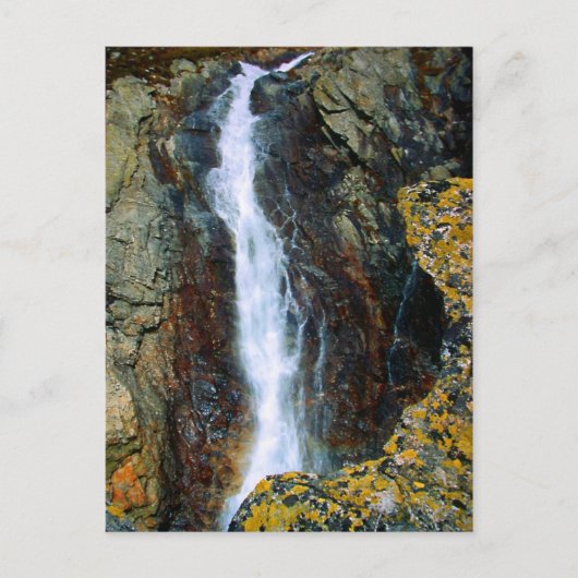 僕は独りで世の中へ出て行けない ポストカード (正面)