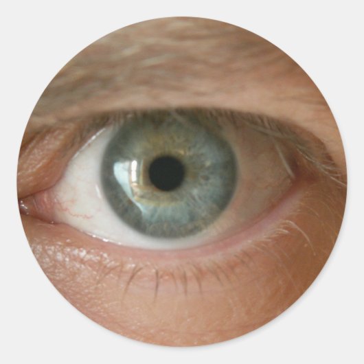 僕は美術の目がある ラウンドシール (正面)