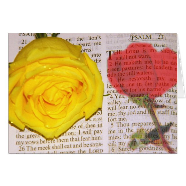 僕は要らぬ (正面横)