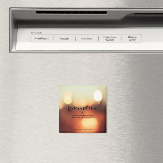 償還 マグネット (インサイチュ (食洗機))