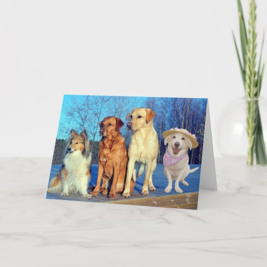 優おもしろいれたラボ誕生日の1つ カード (正面)