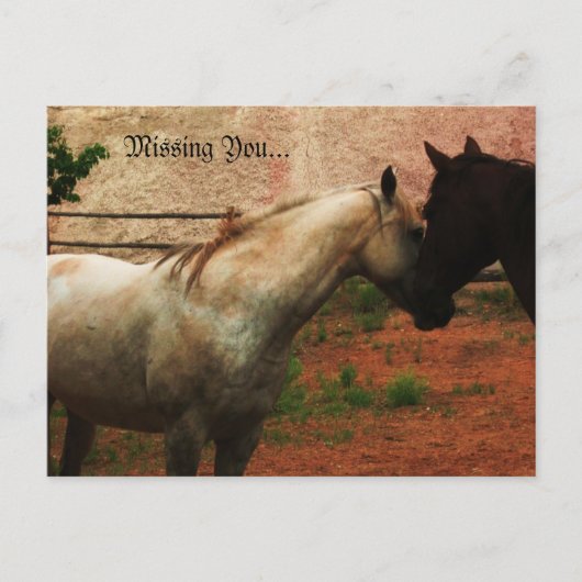 優しいささやき… ポストカード (正面)