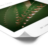 優しいとげ緑の多肉植物アロエポスター ポスター (角)