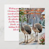 優しいダチョウたち 招待状 (正面/裏面)