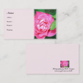 優しいバラ – 名刺 (正面/裏面)