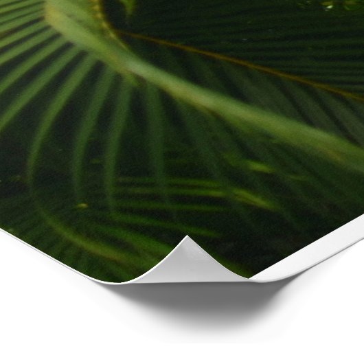 優しいリーチ ポスター (角)