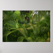 優しいリーチ ポスター (正面)