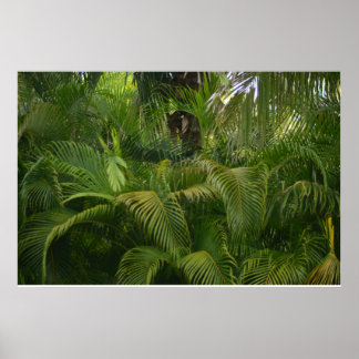 優しいリーチ ポスター