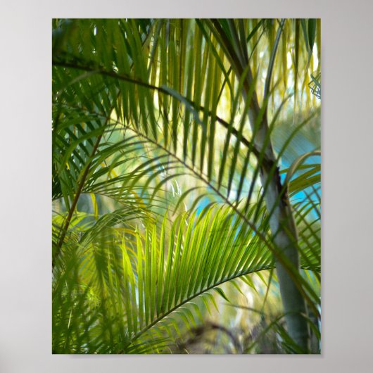 優しいリーチ ポスター (正面)