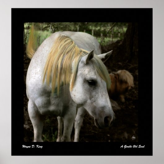 優しい古魂のポスター ポスター (正面)