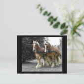 優しい巨人はがき ポストカード (スタンド正面)