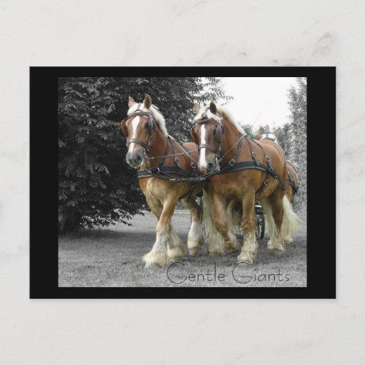 優しい巨人はがき ポストカード (正面)