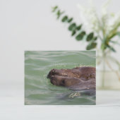 優しい愛 ポストカード (スタンド正面)