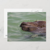 優しい愛 ポストカード (正面/裏面)