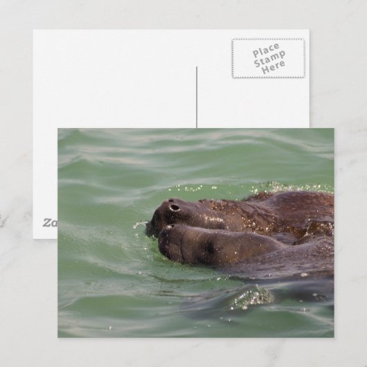 優しい愛 ポストカード (正面/裏面)