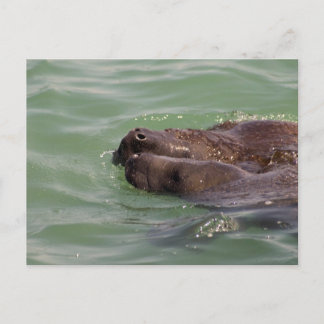 優しい愛 ポストカード