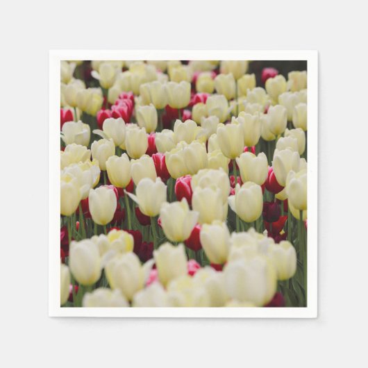 優しい春の花 スタンダードカクテルナプキン (正面)