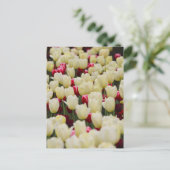 優しい春の花 ポストカード (スタンド正面)