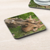 優しい母ムース コースター (左側)