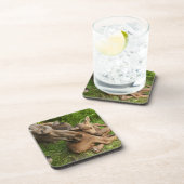 優しい母ムース コースター (右側)