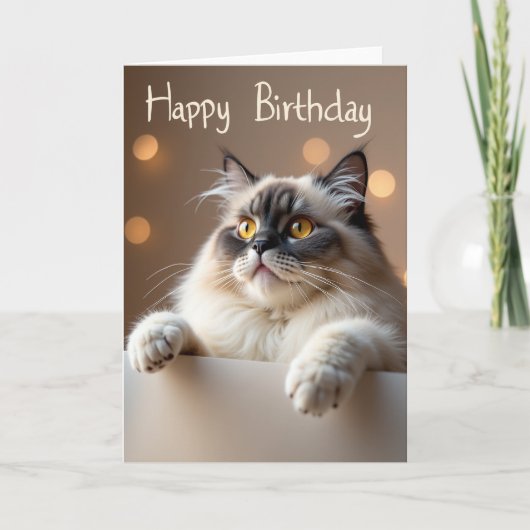 優しい猫の誕生日カード カード (正面)