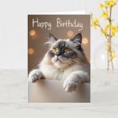 優しい猫の誕生日カード カード (黄色い花)