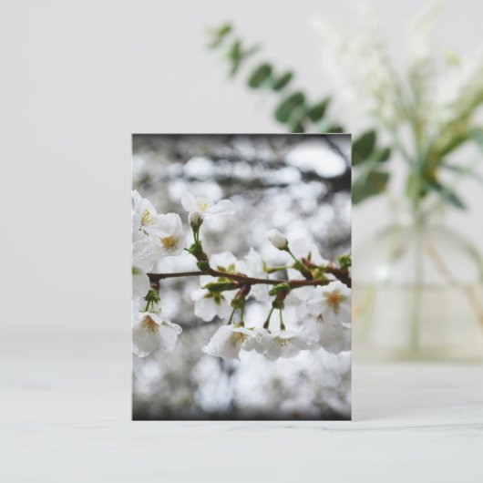 優しい純度 ポストカード (スタンド正面)