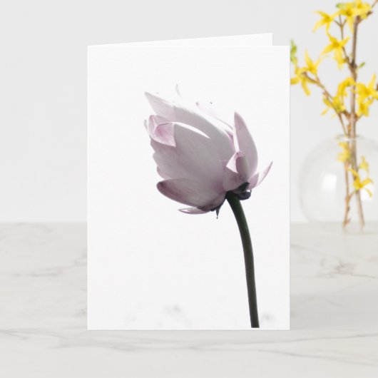 優しい カード (黄色い花)