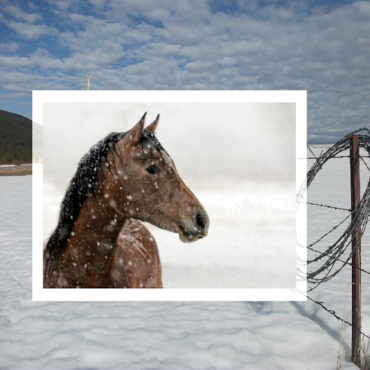 優しく降り注ぐ雪の中に馬を入れる ポストカード