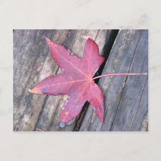 優しく ポストカード (正面)