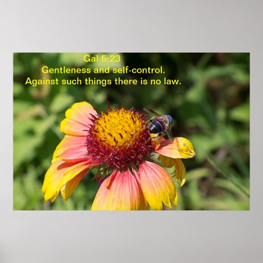 優しさと自制心 ポスター (正面)