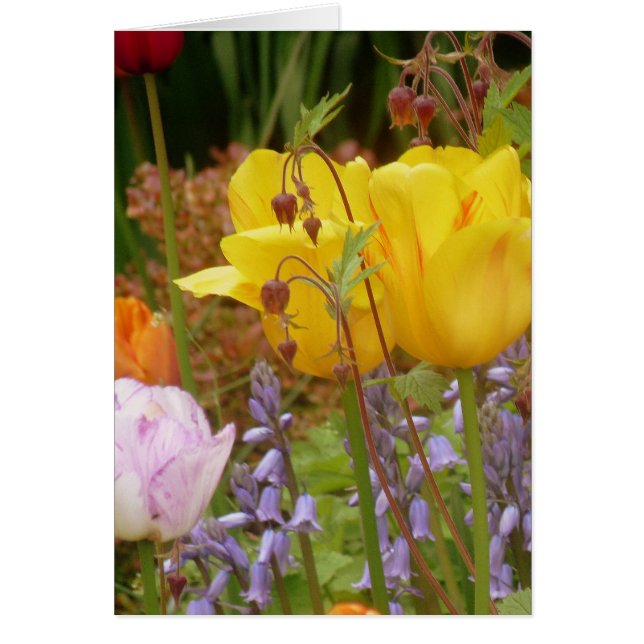 優しさの花 (正面)