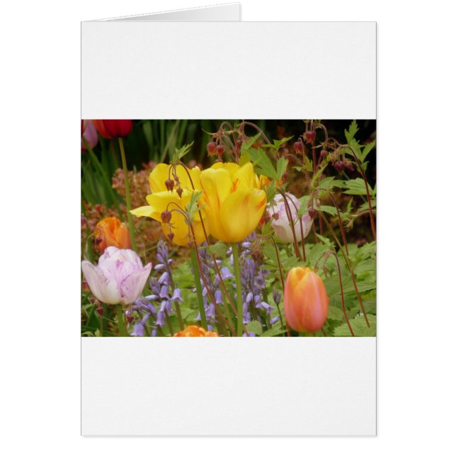 優しさの花 (正面)